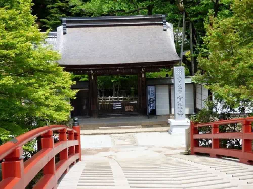 Half Day Murouji and Hasedera Temples Sightseeing Taxi Tour from Nara