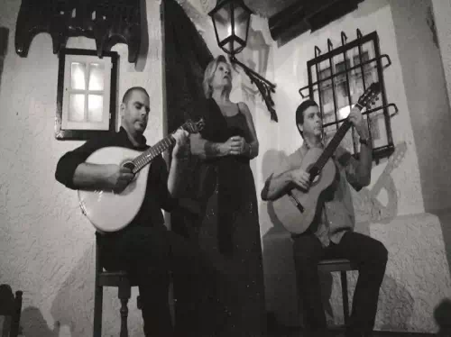 Lisbon Night Tour and Fado Show with Dinner