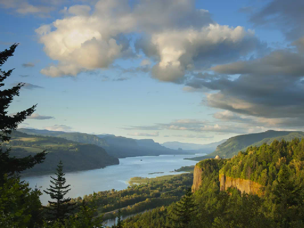 Private Mount Hood, Columbia River Gorge & Winery Tour
