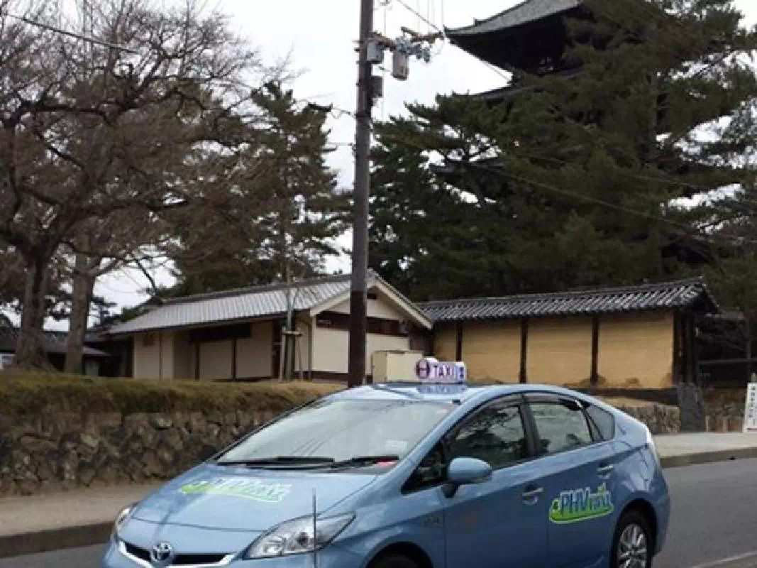 Morning Sightseeing Taxi Tour of Horyuji Temple and Traditional Nara