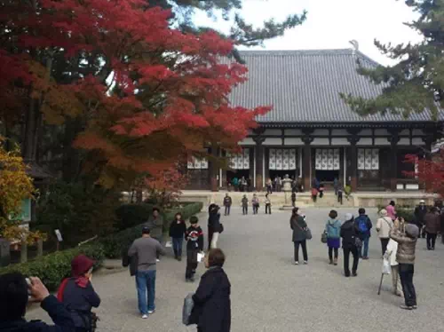 Morning Sightseeing Taxi Tour of Horyuji Temple and Traditional Nara