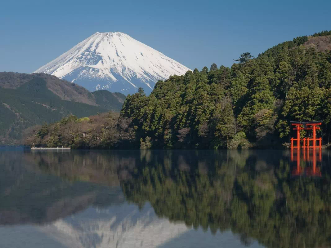 Mt. Fuji Tour with Lake Ashi Cruise and Ropeway Ride from Shinjuku or Shibuya