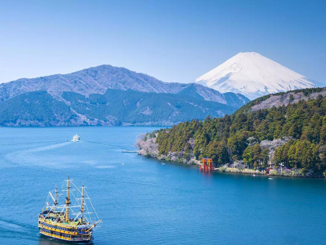 Mt. Fuji Tour with Lake Ashi Cruise and Ropeway Ride from Shinjuku or Shibuya