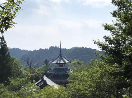 Mt. Yoshino Hiking Tour in Nara with English-Speaking Local Guide