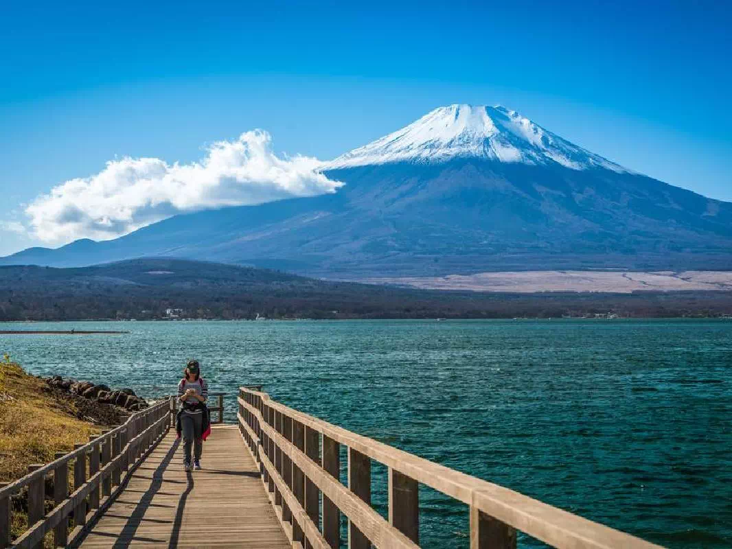Mt. Fuji Tour from Tokyo with Lake Kawaguchi, Oshino Hakkai & Ninja Village