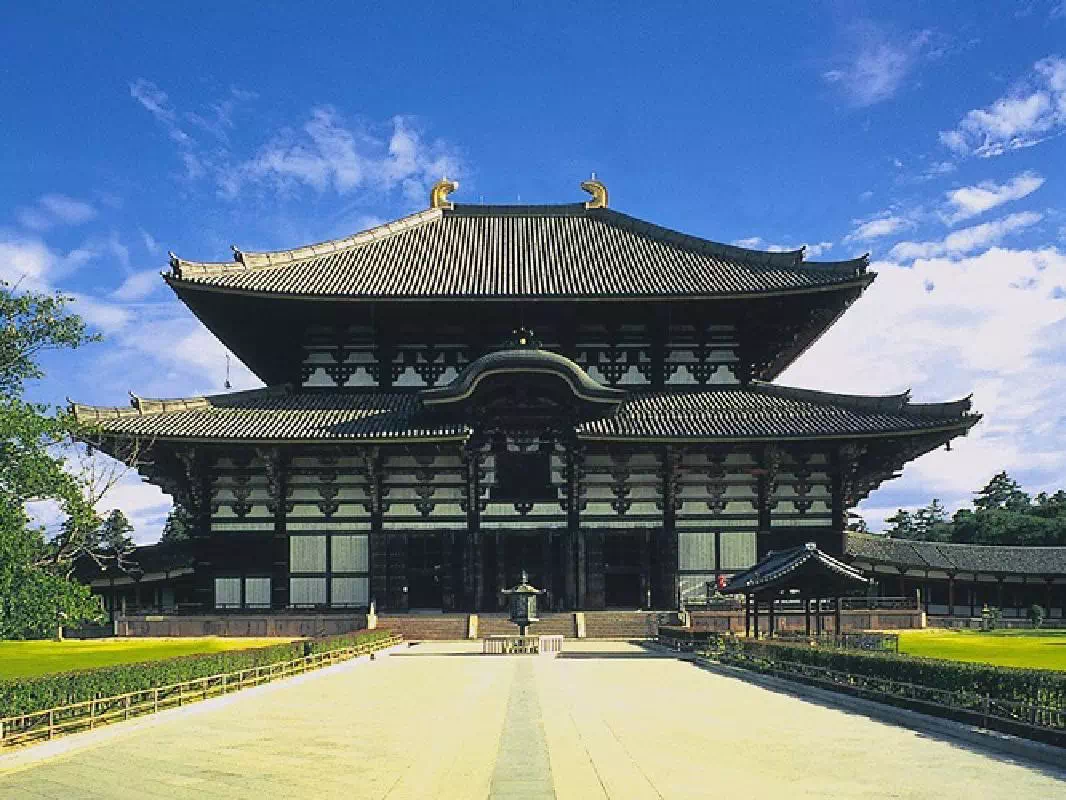 Nara World Heritage Sites Afternoon Tour from Kyoto