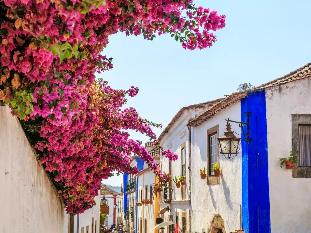 Obidos and Fatima Private Full-Day Tour from Lisbon 