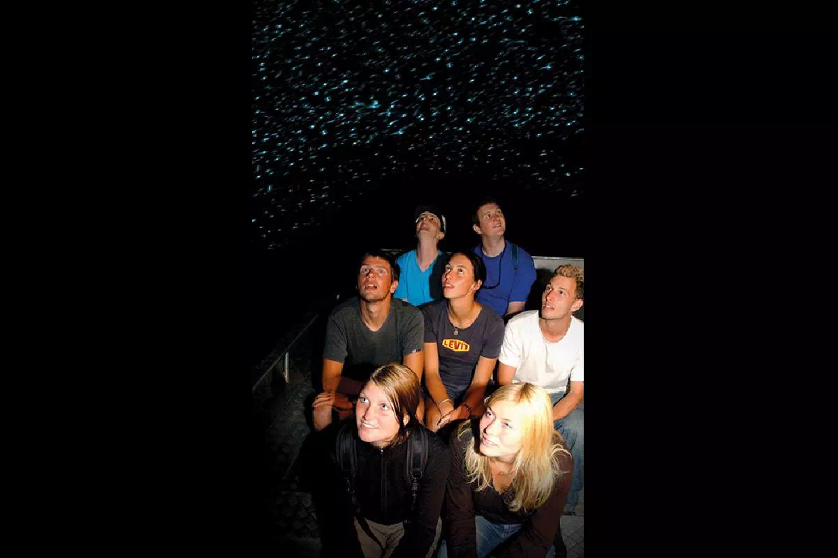Half Day Waitomo Glowworm Cave Tour from Auckland