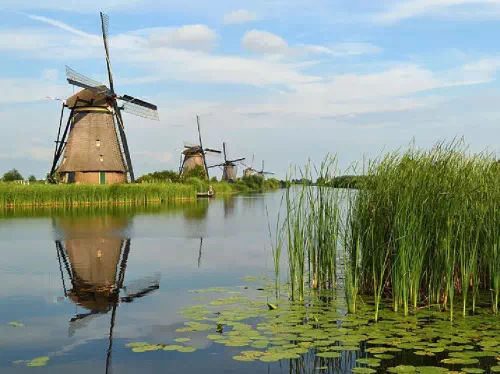 Kinderdijk Windmills and The Hague Small Group Tour with Hotel Pick-up