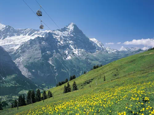 Grindelwald to First Ropeway Ticket with Fun Flyer and Trottibike Scooter