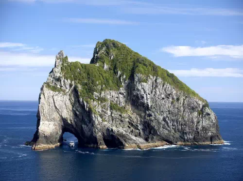 Bay of Islands Tour with Hole in the Rock Dolphin Cruise from Auckland