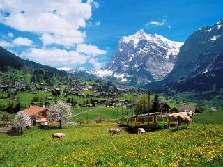 Kleine Scheidegg Day Tour from Lucerne