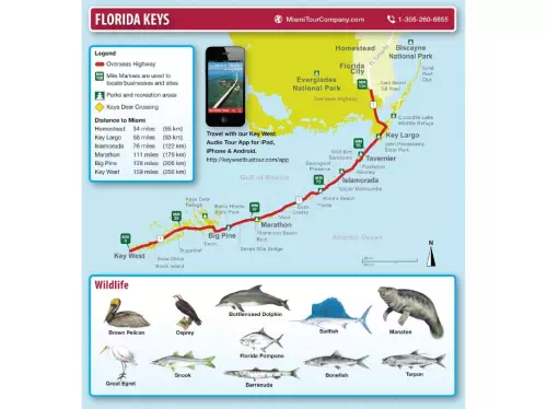 Key West Full Day Tour with Miami Transfers
