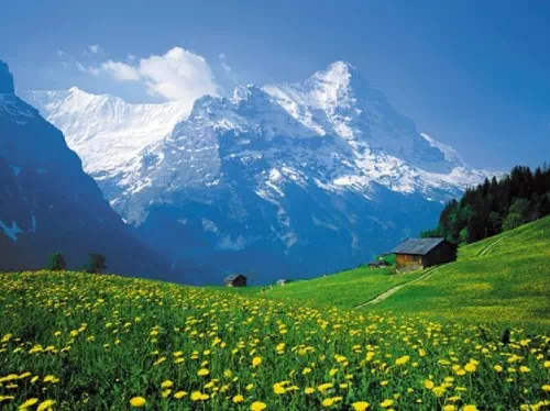 Grindelwald and Interlaken Mountain Resorts Day-Trip from Lucerne