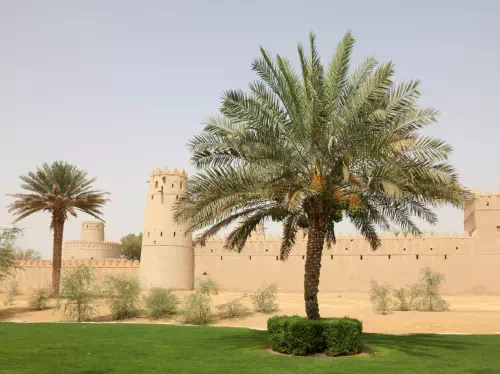 Al Ain Garden City Oasis Sightseeing Tour with Transfers from Dubai