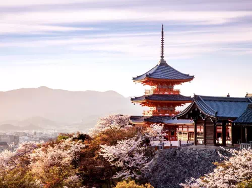 Kyoto 1-Day Private Taxi Tour from Osaka to Arashiyama, Fushimi Inari and More