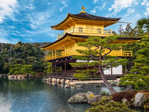 Kyoto 1-Day Private Taxi Tour from Osaka to Arashiyama, Fushimi Inari and More