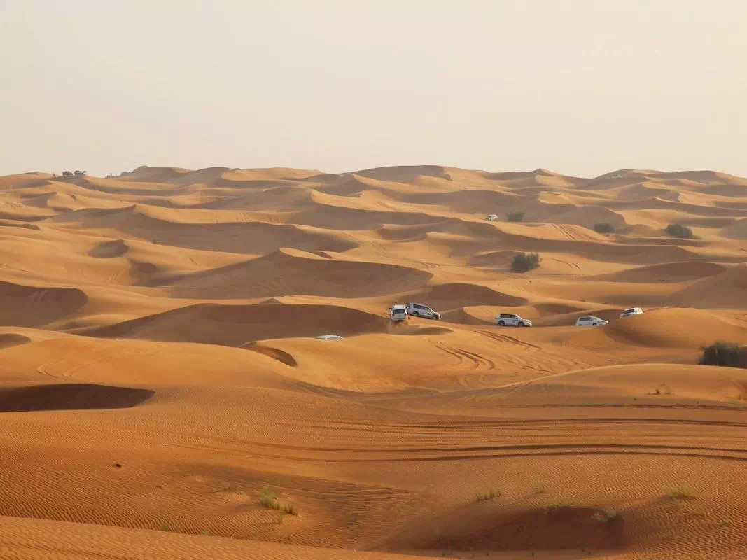 Private Dubai Desert Safari with Camel Ride and Barbecue Dinner