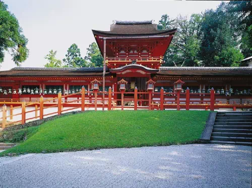 Half Day Tour of Nara's World Heritage Sites and Mountain Views