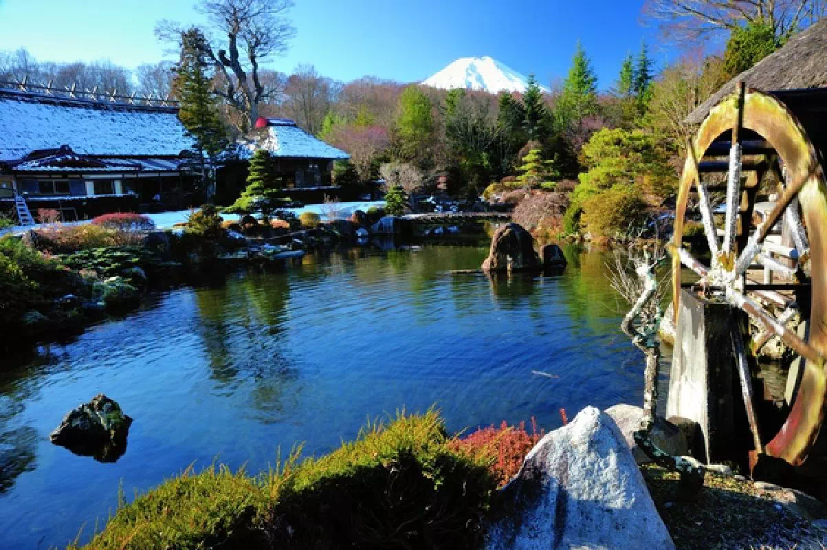 Mt Fuji Tour from Shinjuku or Ueno with Lake Kawaguchi and Gotemba Outlets Visit