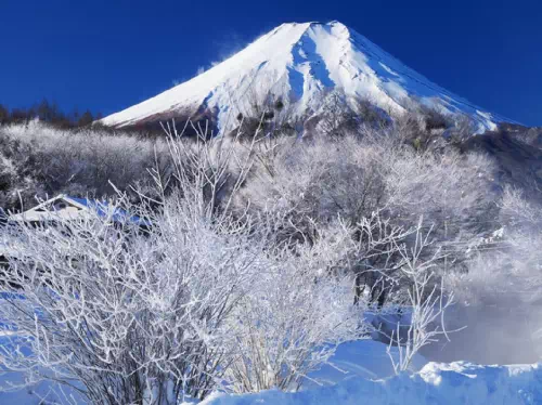 Mt Fuji Tour from Shinjuku or Ueno with Lake Kawaguchi and Gotemba Outlets Visit