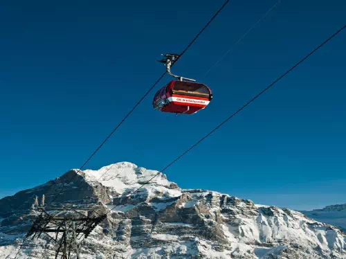 Grindelwald to First Ropeway Ticket Reservations