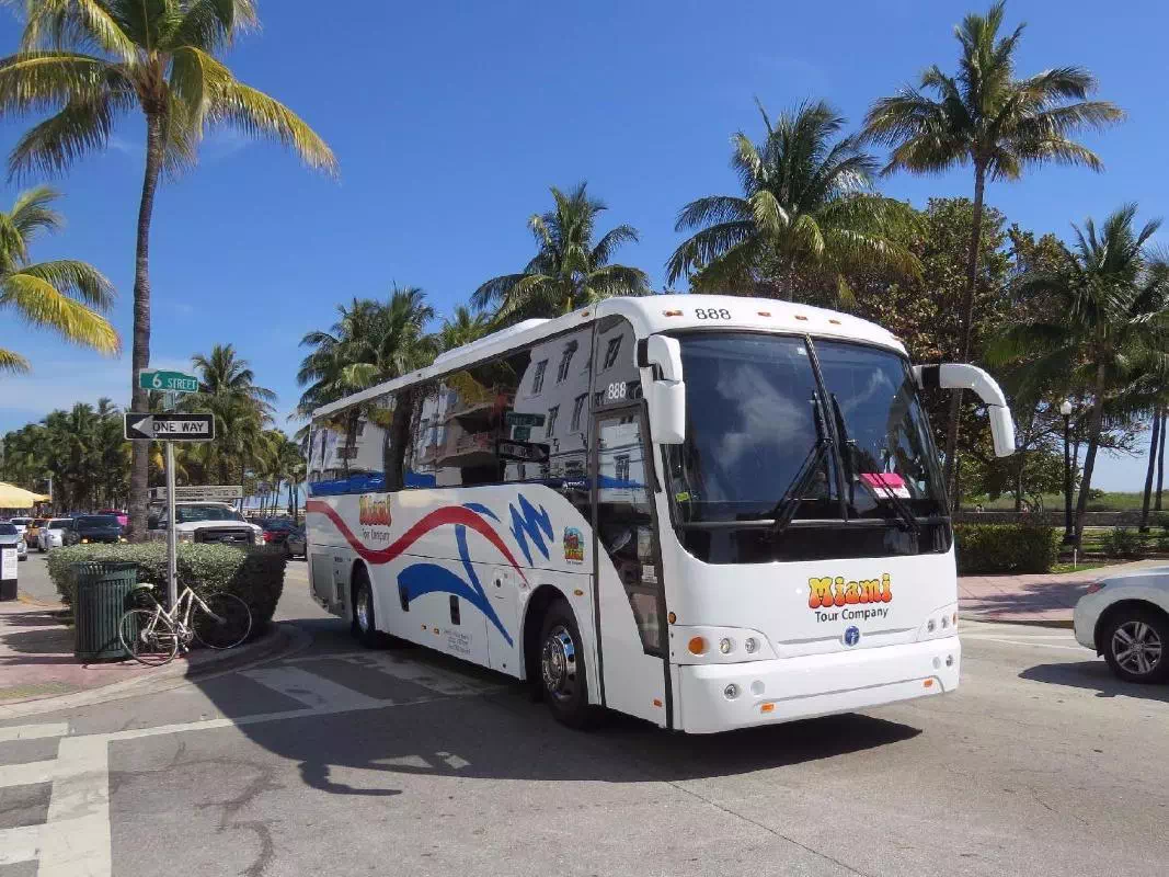 Miami Sightseeing Bus Tour with Everglades Airboat Ride and Wildlife Show