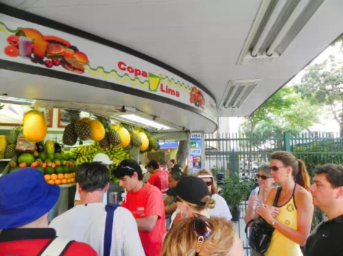 Rio de Janeiro Santa Teresa Guided Walking Tour with Subway & Tram Rides