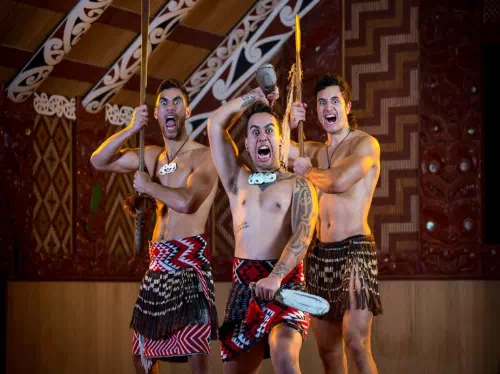 Auckland City and War Memorial Museum Tour with Maori Cultural Performance 