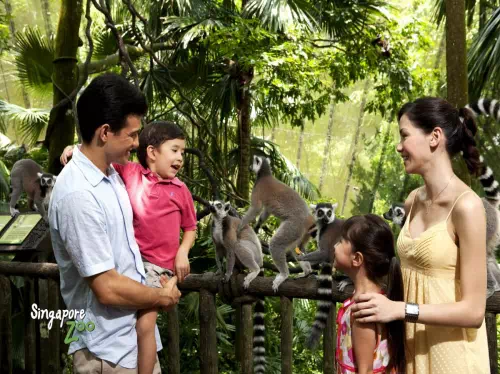 Private Morning Tour of Singapore Zoo with Transportation and Breakfast Option