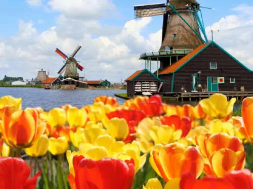 Volendam, Edam, and the Windmill Village Day Tour from Amsterdam