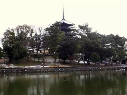 Six Hour Sightseeing Taxi Tour to Horyuji Temple and Nara Park from Nara