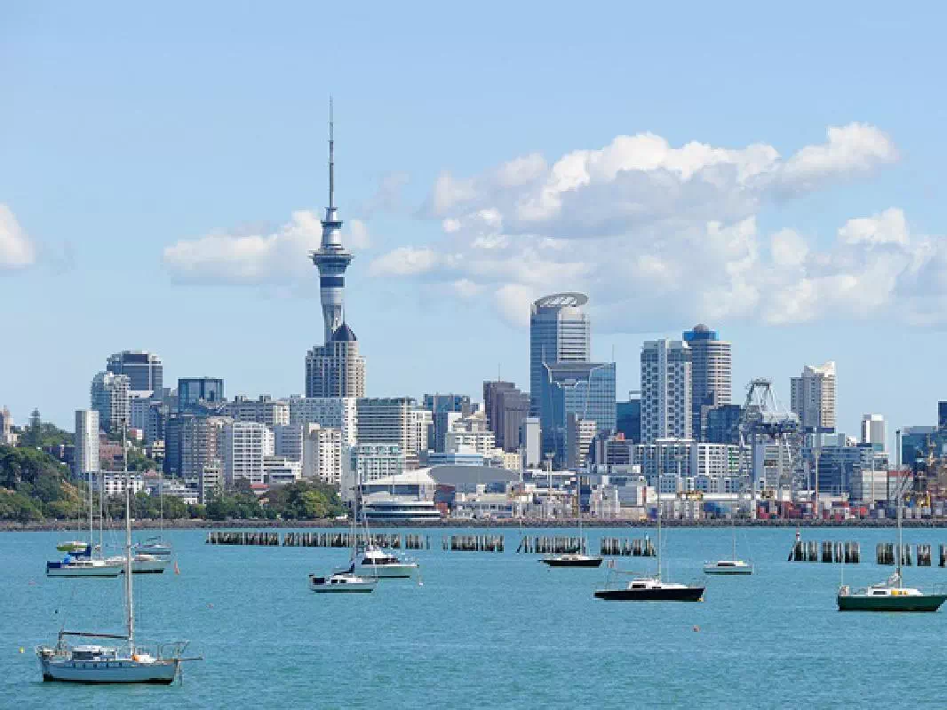 Auckland City Highlights Small Group Guided Morning Tour
