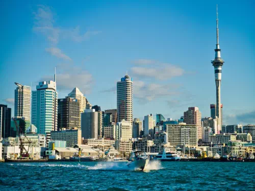 Auckland City Highlights Small Group Guided Morning Tour