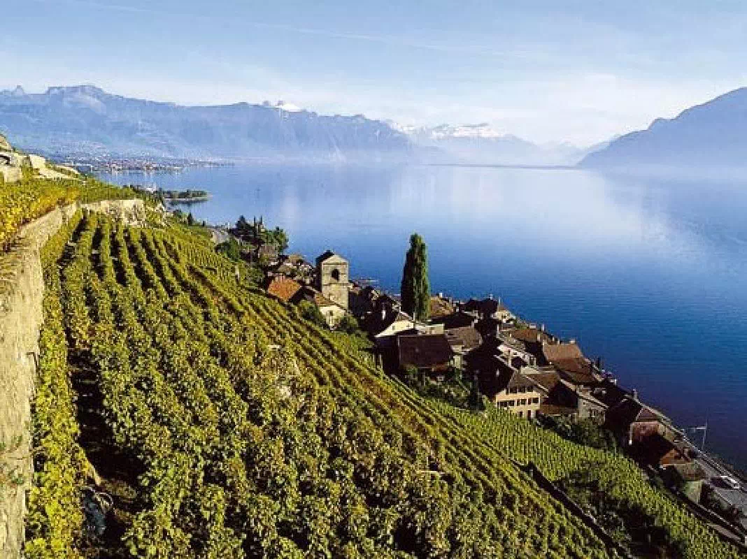 Gruyeres Day Tour with Chocolate & Cheese Tasting and Lavaux Visit