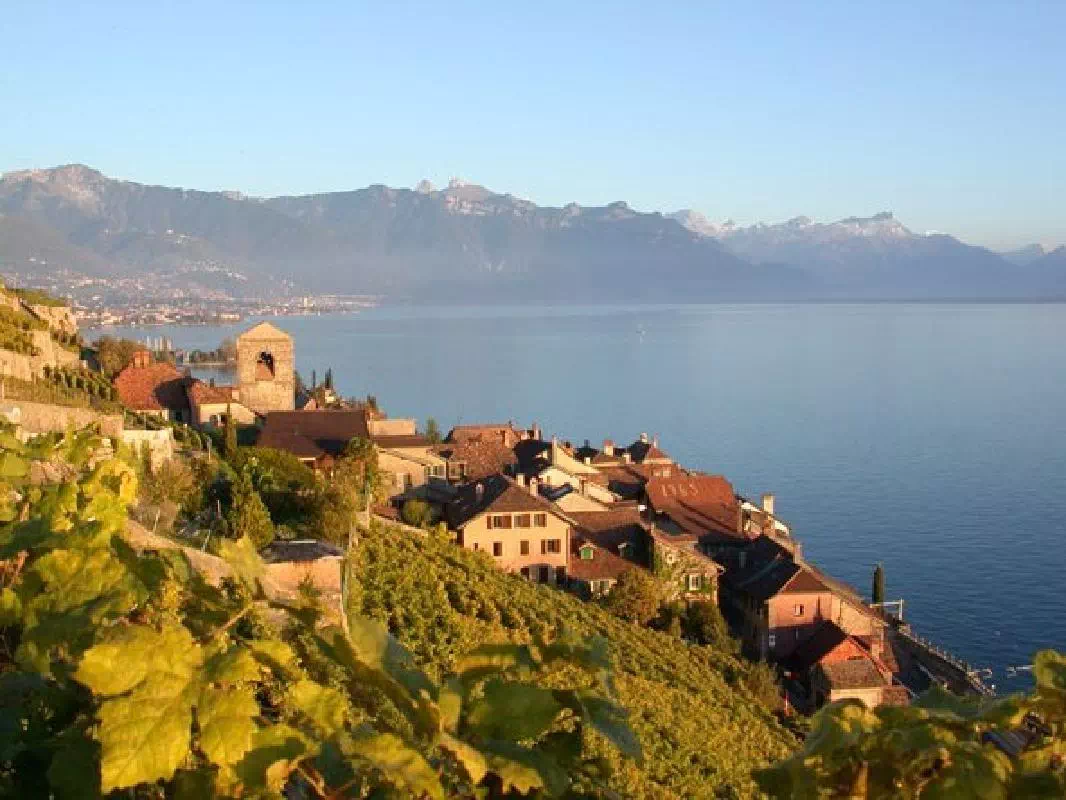 Gruyeres Day Tour with Chocolate & Cheese Tasting and Lavaux Visit