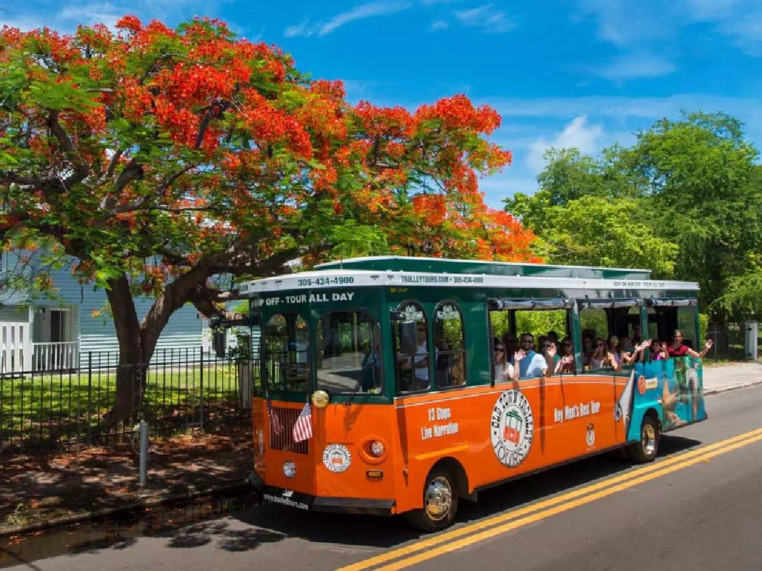 Key West Full Day Tour & Hop-On Hop-Off Trolley from Miami