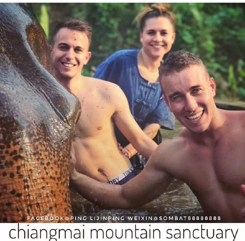 Half-Day Elephant Encounter at Chiang Mai Sanctuary