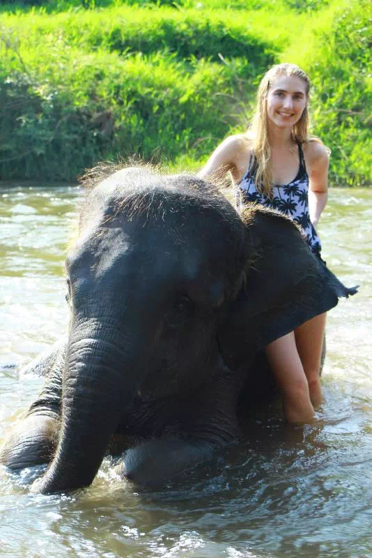 Half-Day Elephant Encounter at Chiang Mai Sanctuary