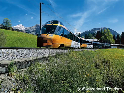 Swiss Travel Pass Flex: Unlimited travel by Train, Bus and Boat from Geneva