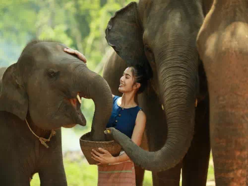 Khao Sok National Park Day Tour with Ethical Elephant Experience from Krabi