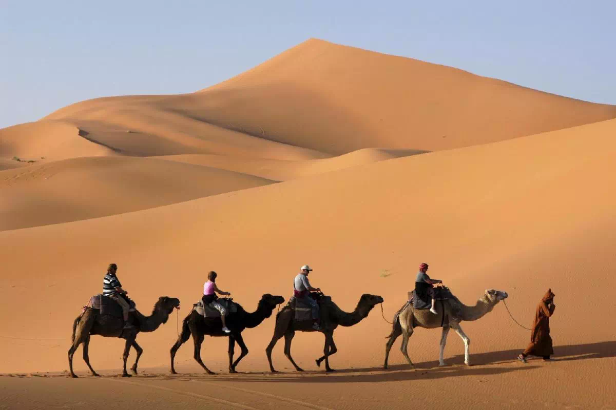Ouarzazate, Erfoud Oasis and Sahara Desert 3 Day Trip from Marrakech