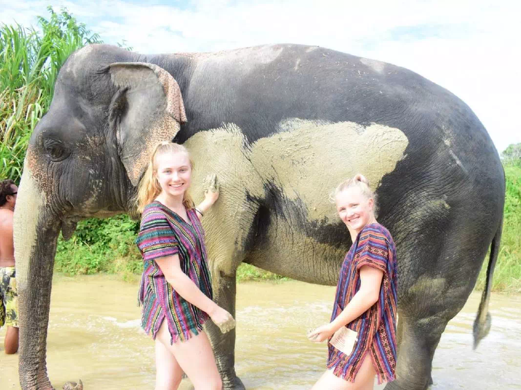 Pattaya Elephant Jungle Sanctuary Ethical Half Day Experience