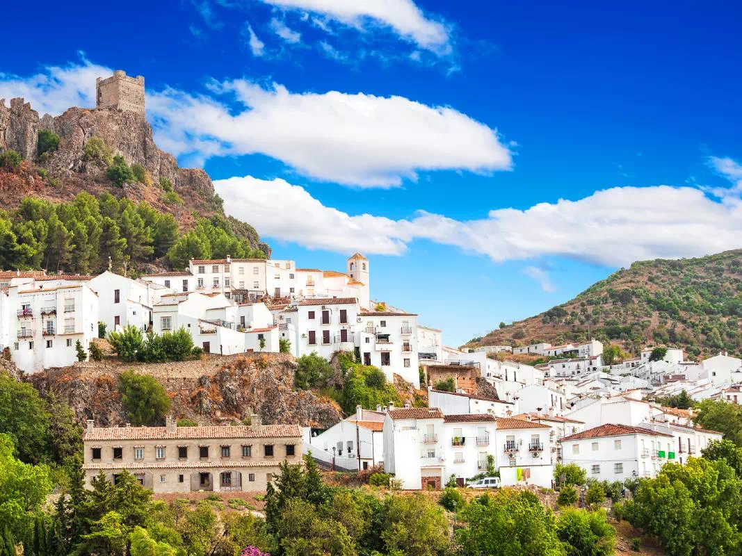 White Towns of Andalusia and Ronda Full Day Excursion from Seville