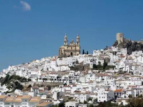 White Towns of Andalusia and Ronda Full Day Excursion from Seville