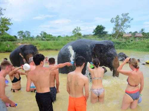 Pattaya Elephant Jungle Sanctuary Full Day Tour with Optional Hotel Pick-Up