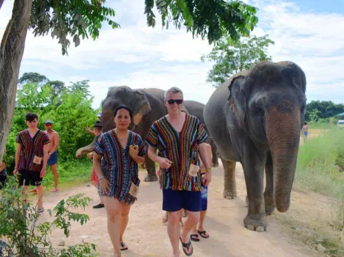Pattaya Elephant Jungle Sanctuary Full Day Tour with Optional Hotel Pick-Up