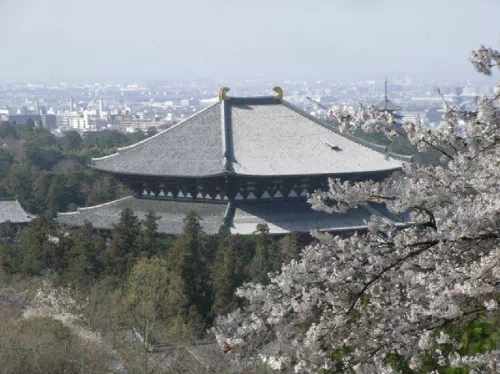 Six Hour Sightseeing Taxi Tour of Historic Temples and Castle Ruins in Nara