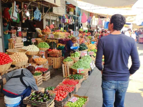 Guided Mexico City Markets & Food Tour with Teotihuacan Pyramids Visit