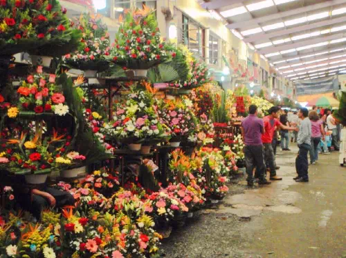 Guided Mexico City Markets & Food Tour with Teotihuacan Pyramids Visit